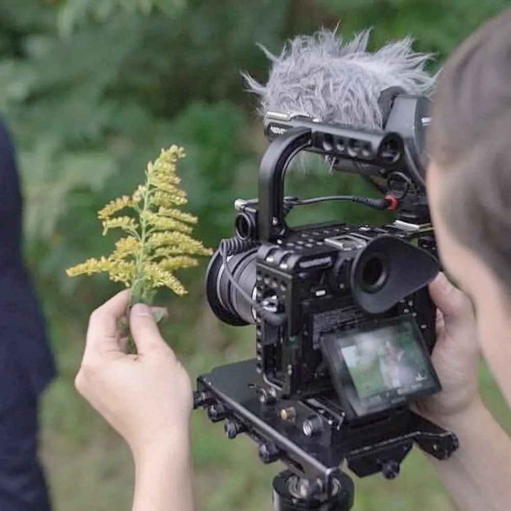 Over Brian's shoulder: he holds a sprig of wildflowers in front of the lens while the couple kisses, soft in the background
