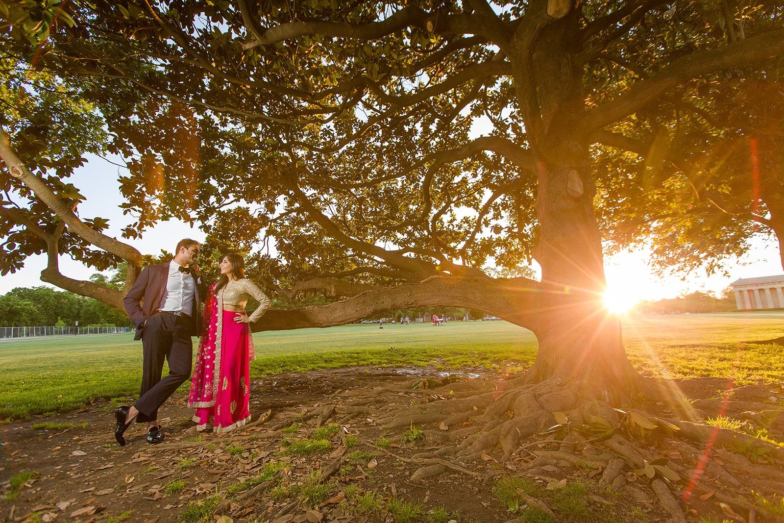 Couple in a suit and pink lehenga beneath a sprawling tree, the sun bursting through the branches