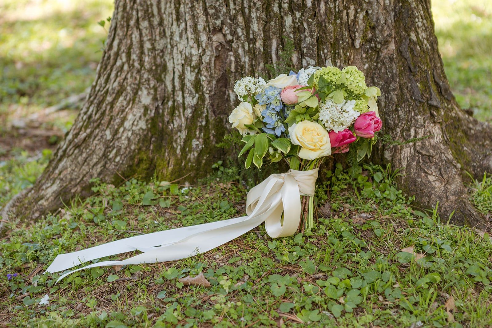 A bouquet of blue, white and pink flowers resting against the base of a big old tree