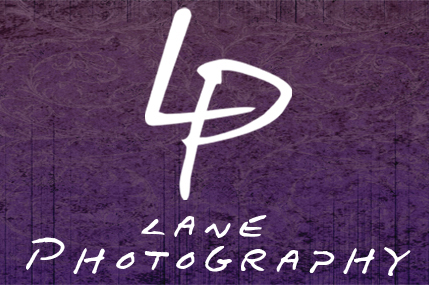 Lane Photography, Wedding Photographers in Nashville