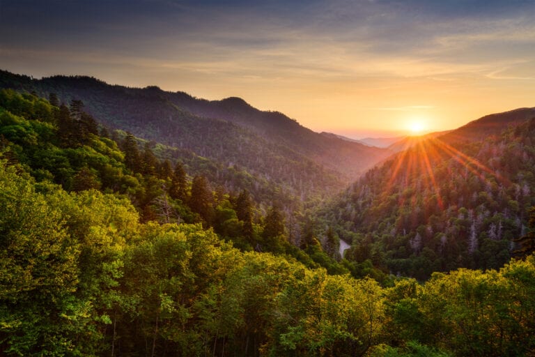 Sunset over the rolling ridges of Newfound Gap in the Great Smoky Mountains, casting golden light across the forested landscape — a dreamy location for nature-inspired wedding films and romantic mountaintop photography sessions in Tennessee.